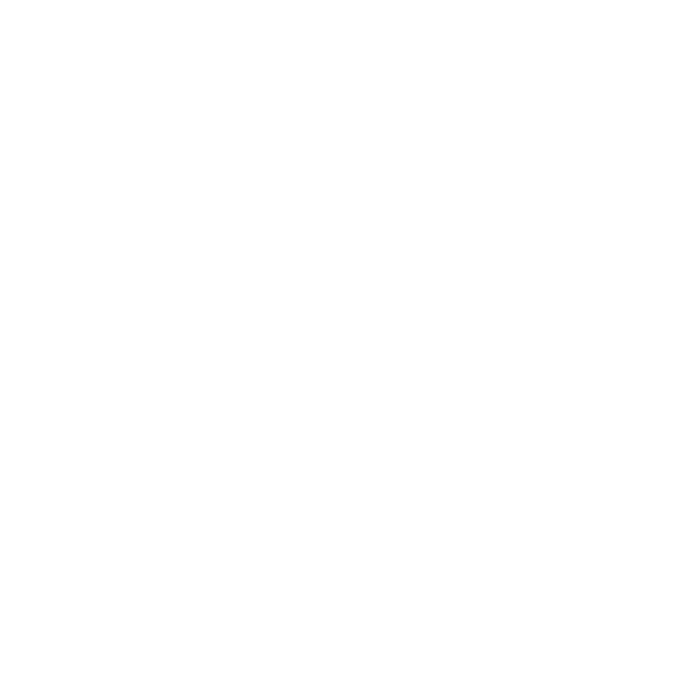 Terzo Tempo logo bianco